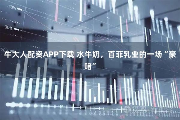 牛大人配资APP下载 水牛奶，百菲乳业的一场“豪赌”