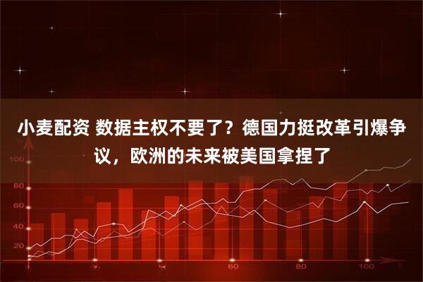 小麦配资 数据主权不要了？德国力挺改革引爆争议，欧洲的未来被美国拿捏了