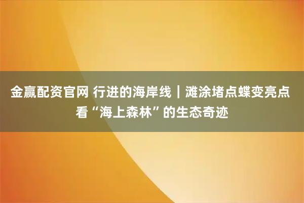 金赢配资官网 行进的海岸线｜滩涂堵点蝶变亮点 看“海上森林”的生态奇迹