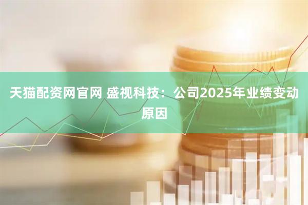 天猫配资网官网 盛视科技：公司2025年业绩变动原因